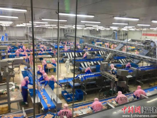 圖為圣農(nóng)工廠。