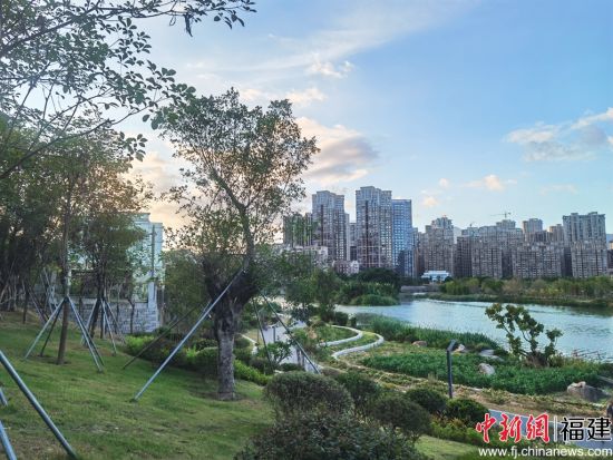 整改后的南溪一景。