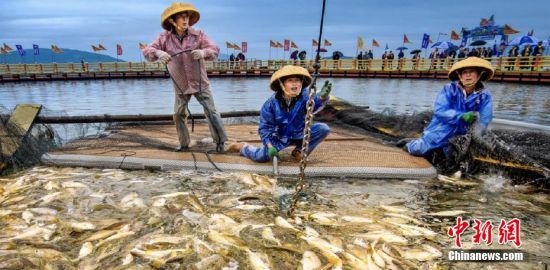 漁民在操作網(wǎng)箱起魚。蕉城區(qū)融媒體中心 供圖