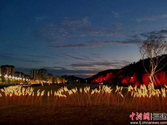 武夷新區(qū)千畝花海煥新顏。王升洪 攝